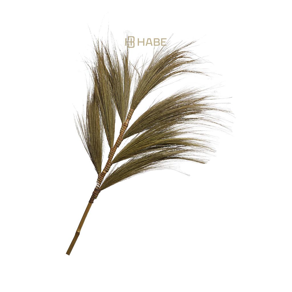 Grass plumme 120 cm Natural