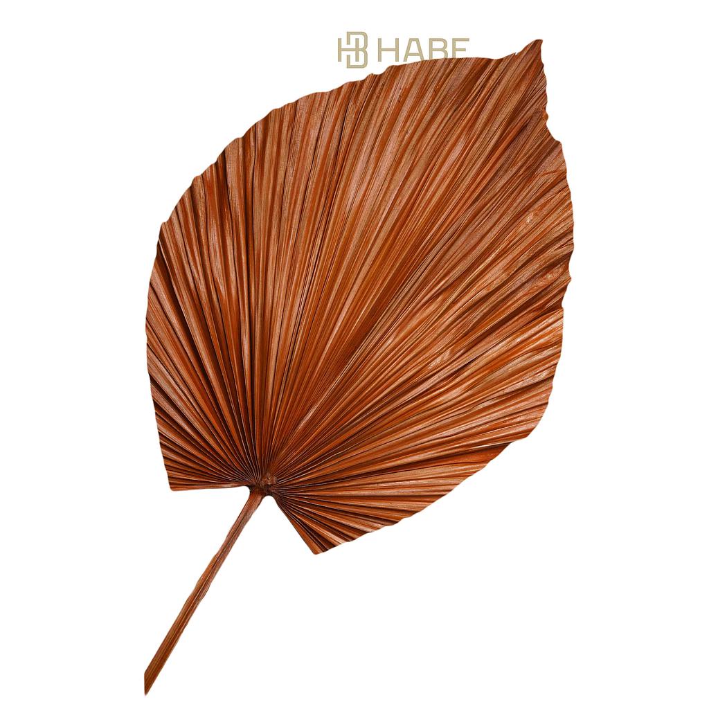 Leaf Fan L 48x1x120 cm Brown